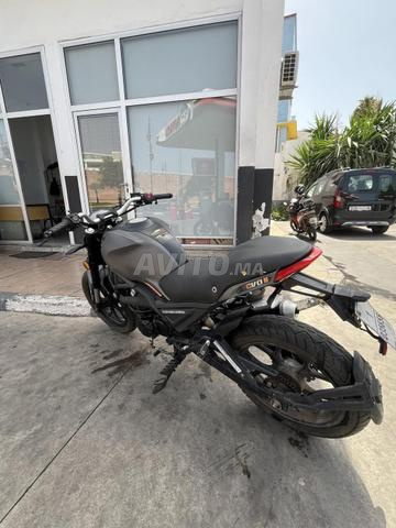 Cimatti monster 2023 - 2