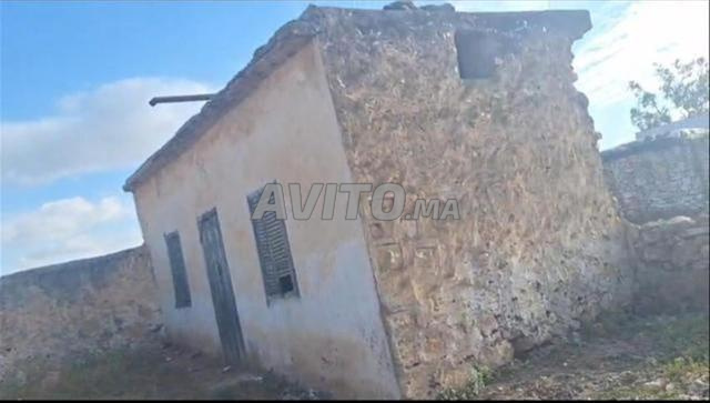 أرض فلاحية بها سكن قديم، مع سند ملكية في سيدي العايدي