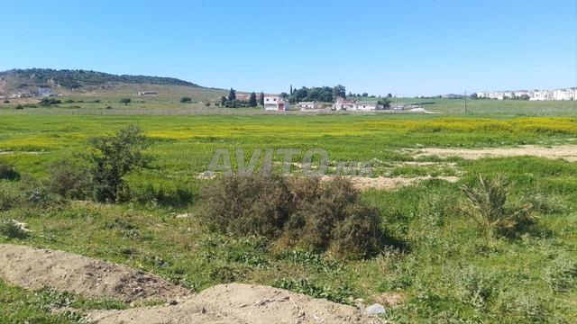 أرض للبيع محفظة، جاهزة، أوراقها سليمة وجاهزة - 2