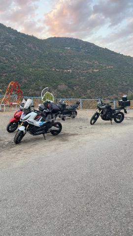 XADV 2026 - 2