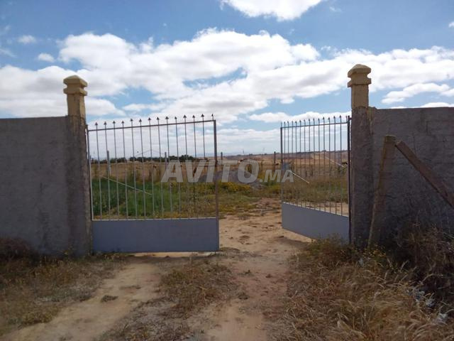 Terrain agricole