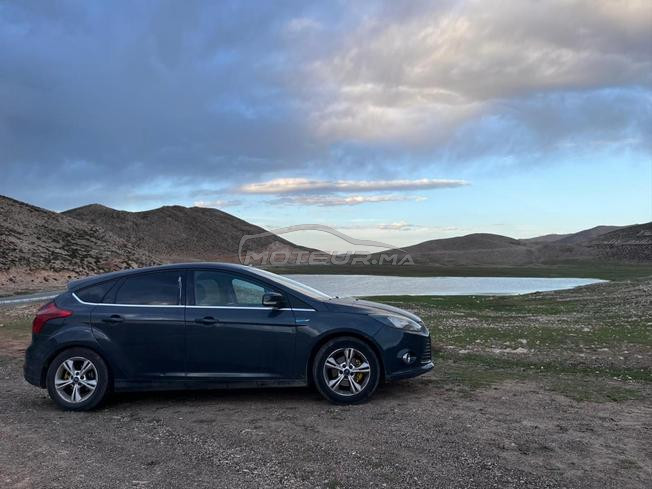focus Sport ST 