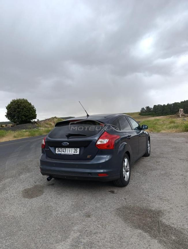 focus Sport ST 
