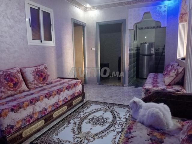 كراء يومي 0620589062 - 2