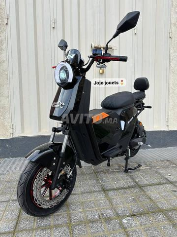 Livraison gratuite - 2