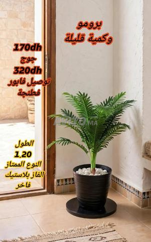 تشكيلة أشجار اصطناعية فاخرة للمحلات والمنازل - - 2
