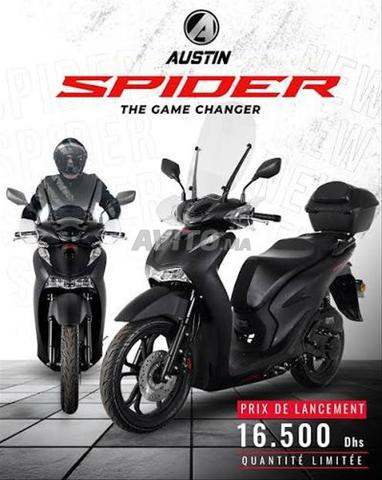 Austin Spider