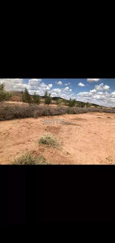 🌿 Terrain d’exception 12 958 m² près de Marrakech 🌿 - 2