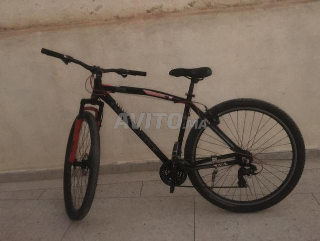 دراجة جبلية Torpado 29 للبيع - 2