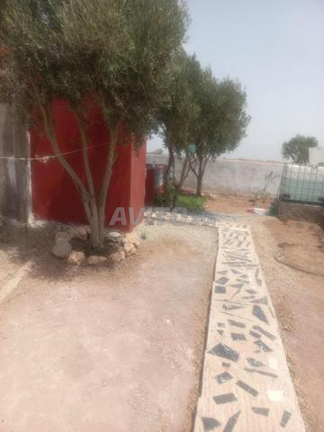 MAISON DE CAMPAGNE RETAPEE AUTORISEE OULED SAID - 2