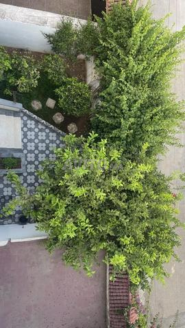 VILLA À VENDRE - 2