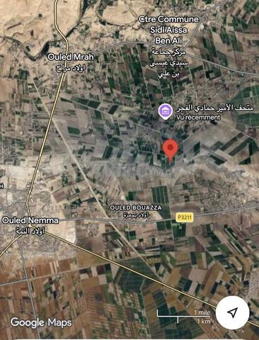 Terrain à vendre par cession près de Souk Sebate Oulad Nmema - 2