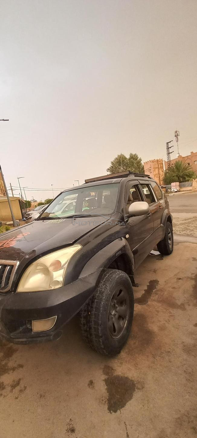 برادو مليحة 