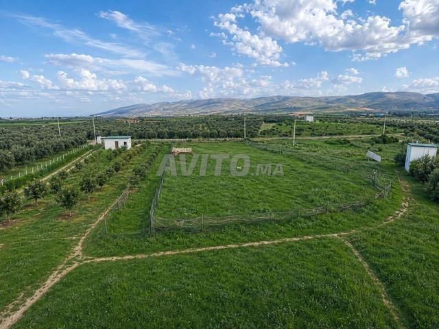 À VENDRE — FERME DE 1,13 HA AVEC VILLA - 2
