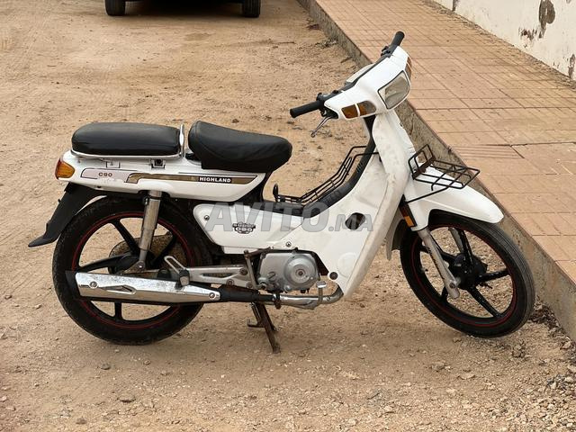 C50 blanche petite