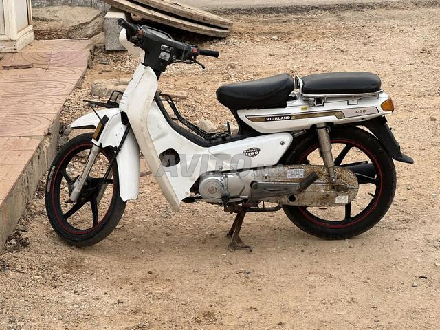 C50 blanche petite - 2