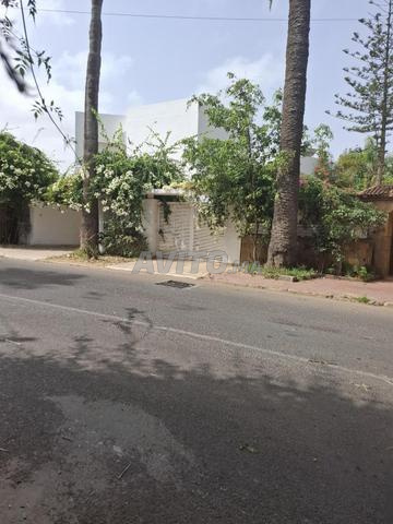 Villa à Aïn Diab - 2
