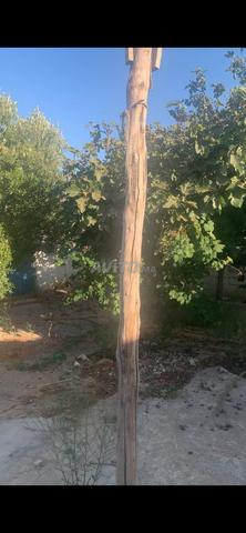 Maison avec jardin à vendre - 2