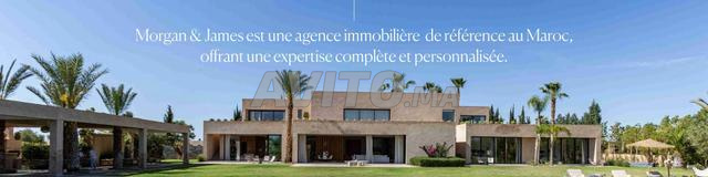 Assistant(e) de Direction (Temps Plein) - 2
