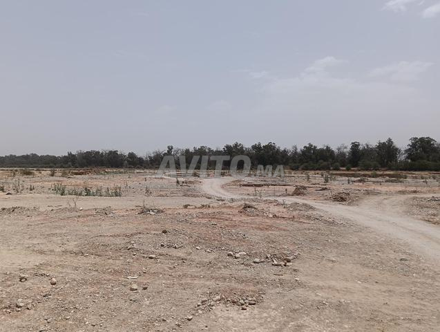 مقلع للبيع - 2