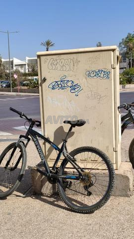 Vélo - 2