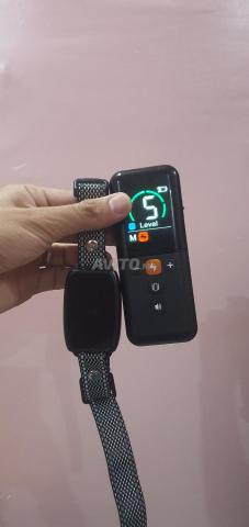طوق كهربائي - 2