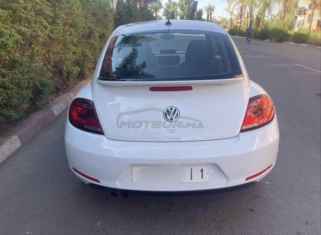 une très belle coccinelle