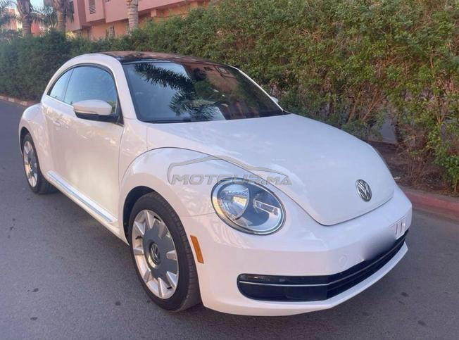 une très belle coccinelle