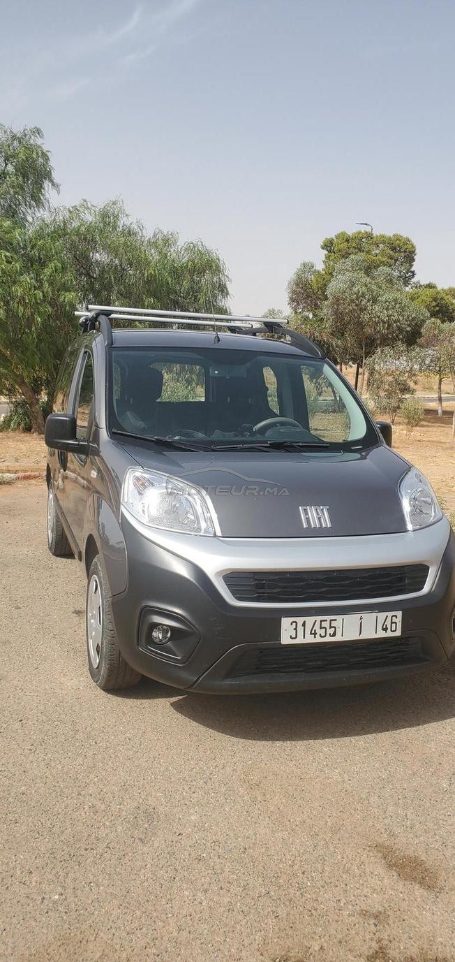Fiorino 2023
