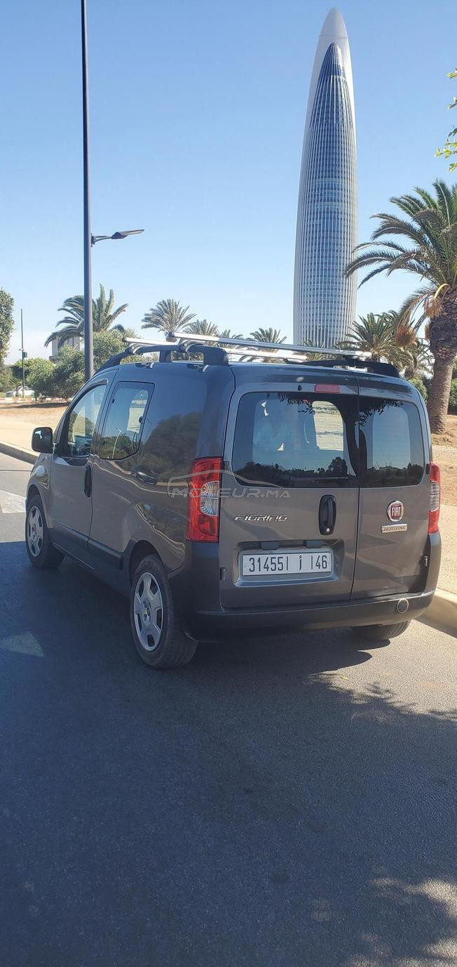 Fiorino 2023