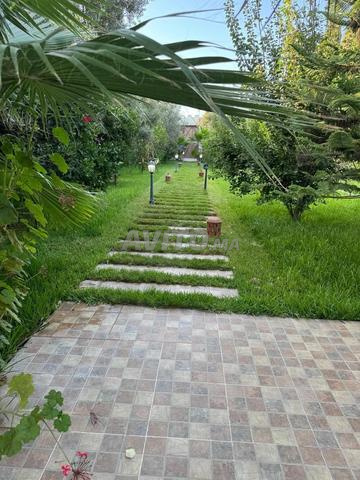 Villa des Roses - 2