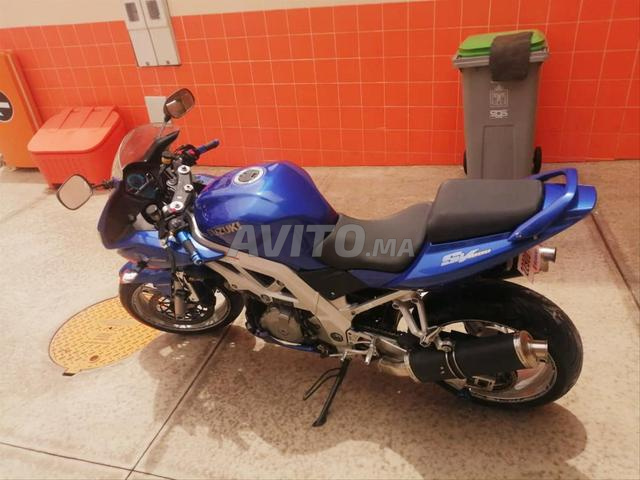 Suzuki Sv 1000s - 2