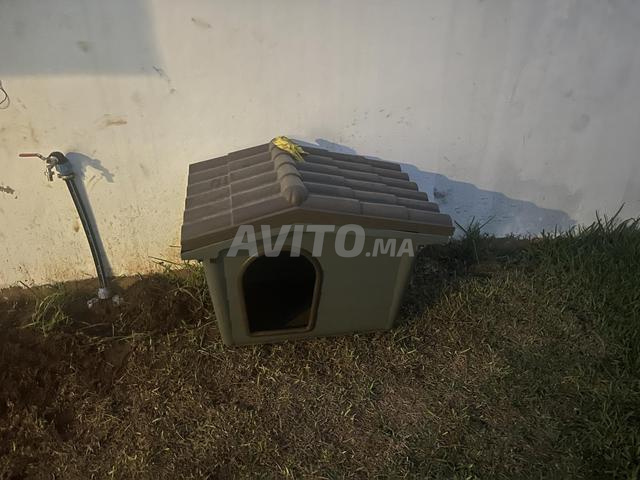Niche pour chien à vendre