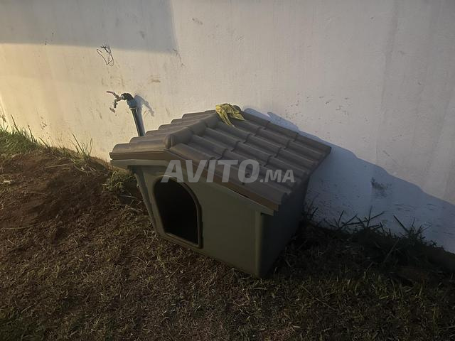 Niche pour chien à vendre - 2