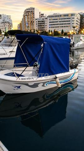 BATEAU ESTABLE 2019 MOTEUR YAMAHA EXCELLENT ÉTAT
