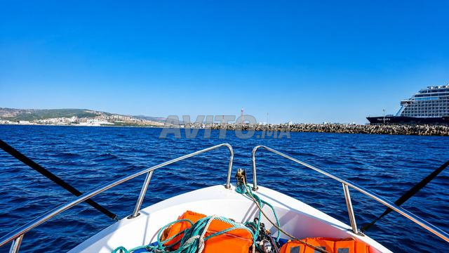 BATEAU ESTABLE 2019 MOTEUR YAMAHA EXCELLENT ÉTAT