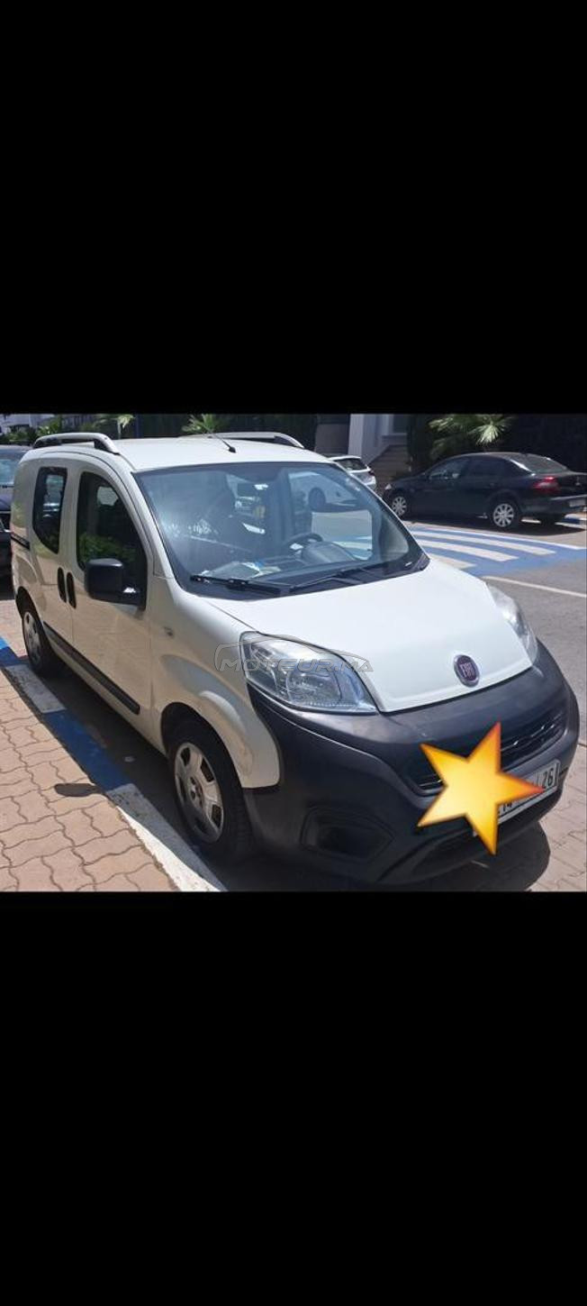 fiorino 2019
