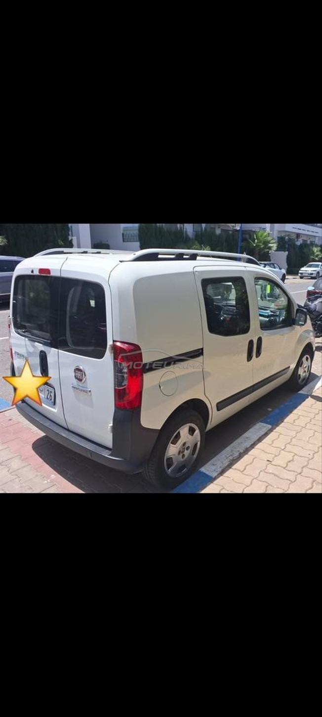 fiorino 2019