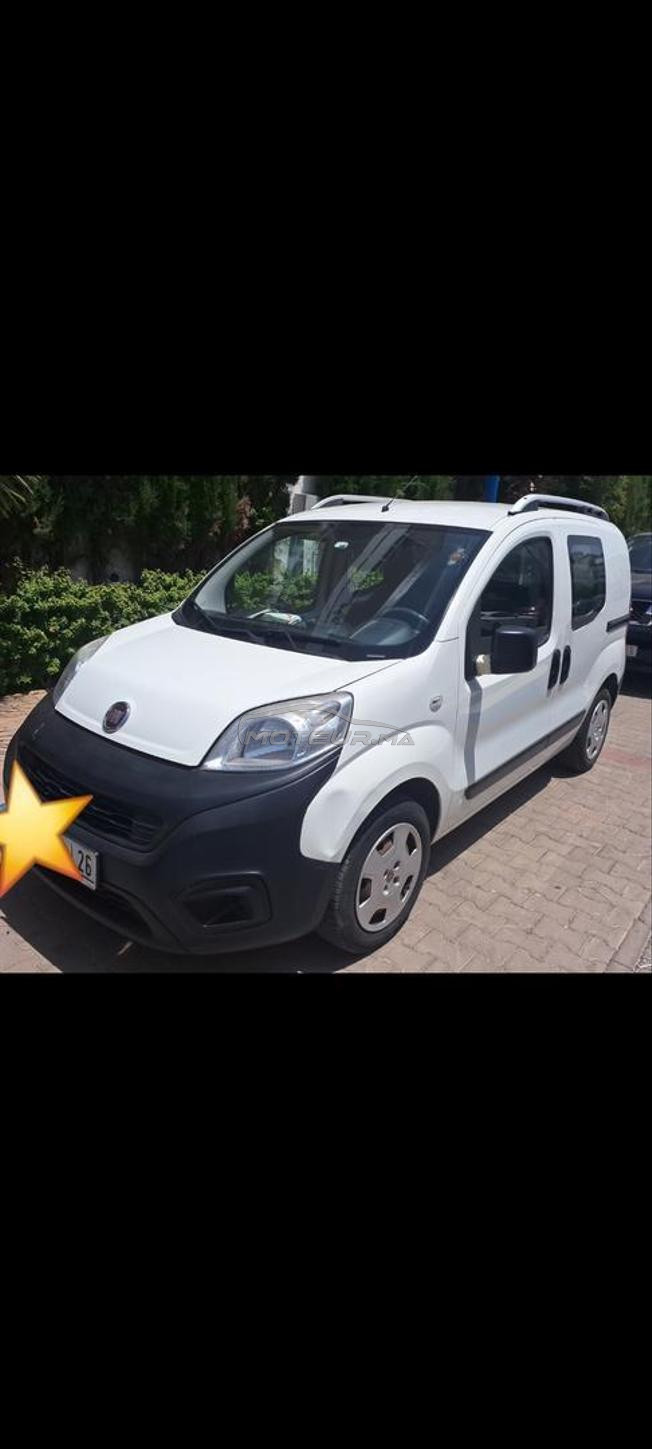 fiorino 2019