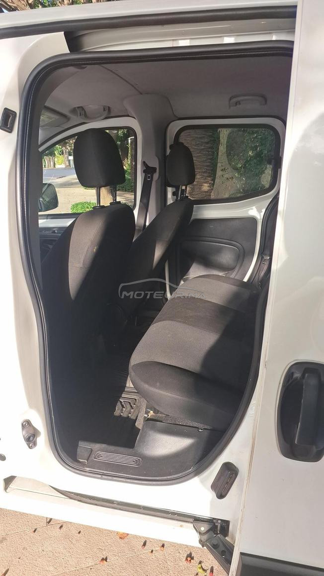 fiorino 2019