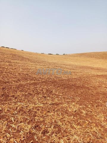 vente terrain Agricole 40 hectares