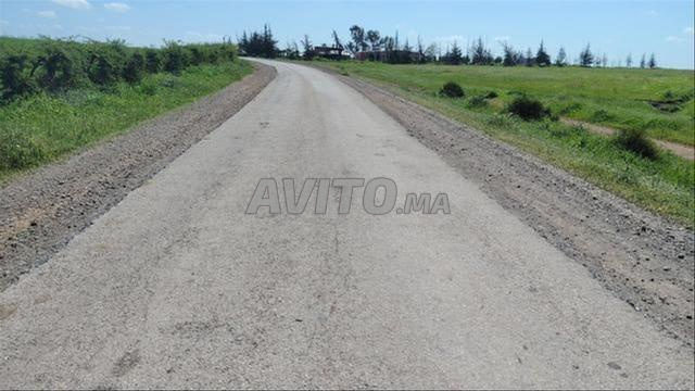 أراضٍ محفظة وفيلات – بير جديد - 2
