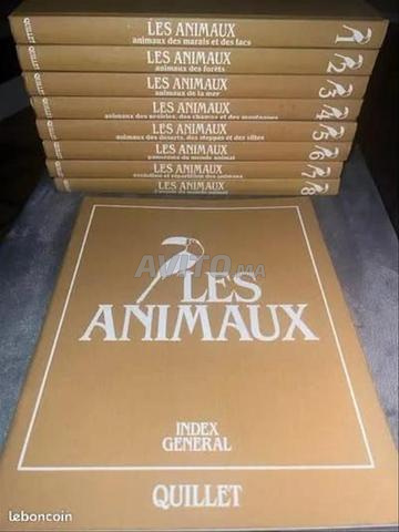 L'encyclopédie du monde animal dans la nature