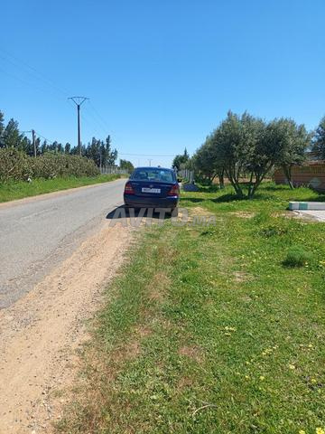 Vente de fermes et terrains agricoles - 2