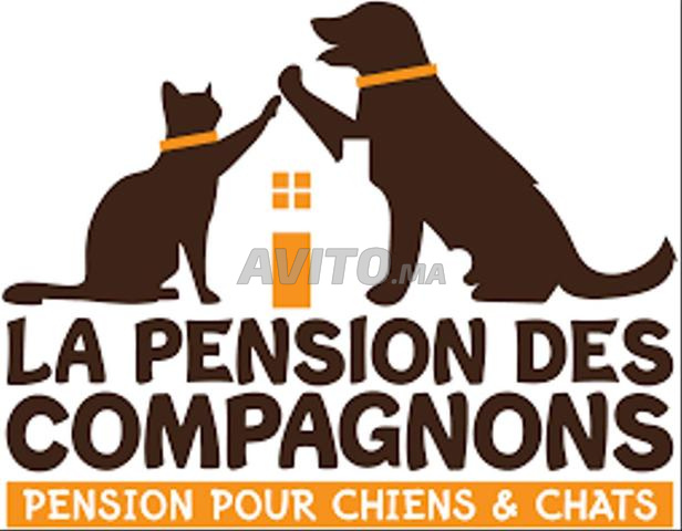 PENSION COMPLÈTE POUR ANIMAUX