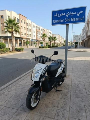 كيمكو أجريليتي 2019 4T 80cc - 2