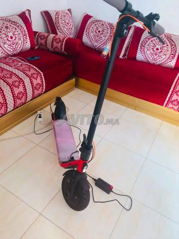 Mohammedia/Andalous - 2