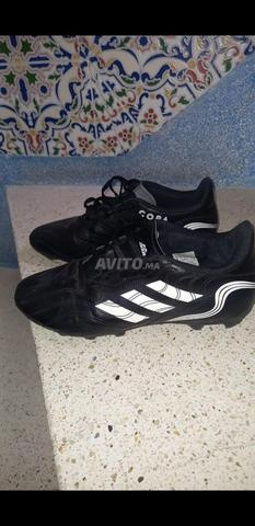 Codasse copa - 2