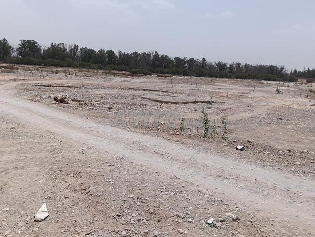 Oulad Aissa Taroudant - 2