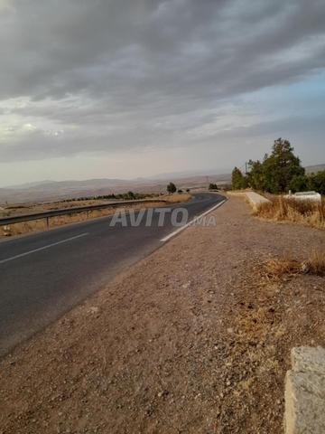تازة طريق كلدمان - 2